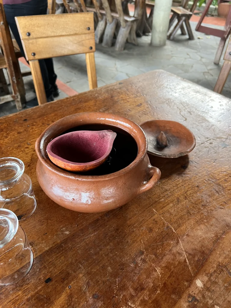 Dégustation de vin Tajira
